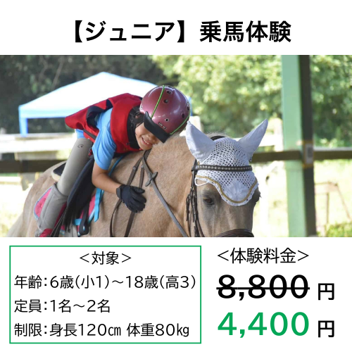 ジュニア乗馬体験バナー
