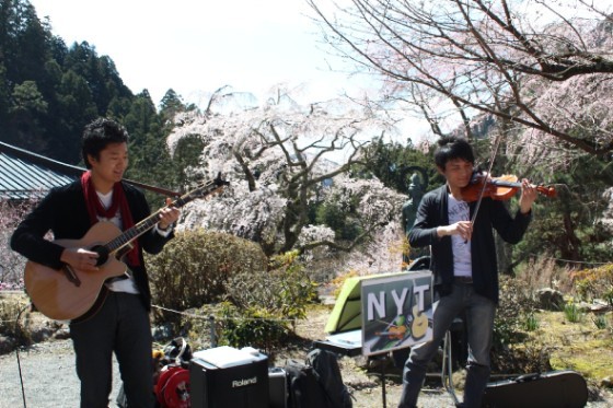 桜祭り