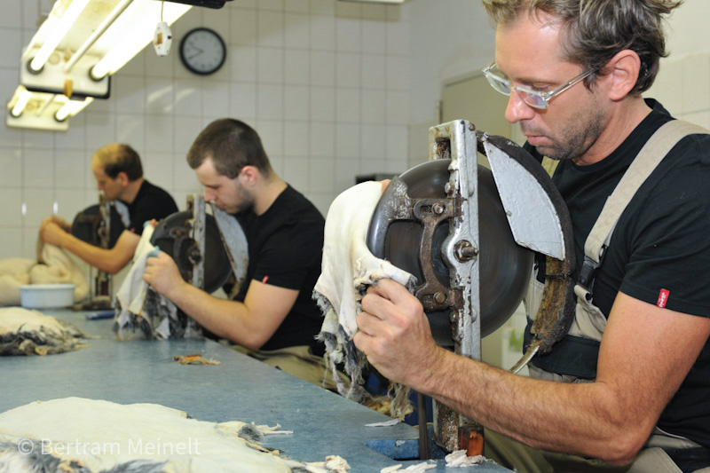 Gerberei in der Nähe, Gerberei, Gerberei Sachsen, gerberei in der nähe, 