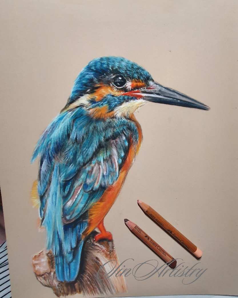Kingfisher