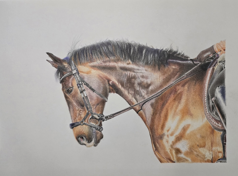 Brown Horse