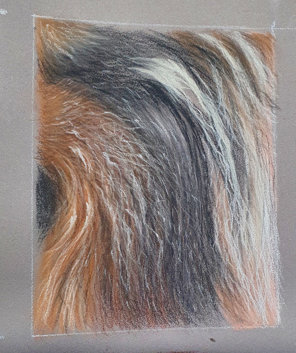 Collie Fell