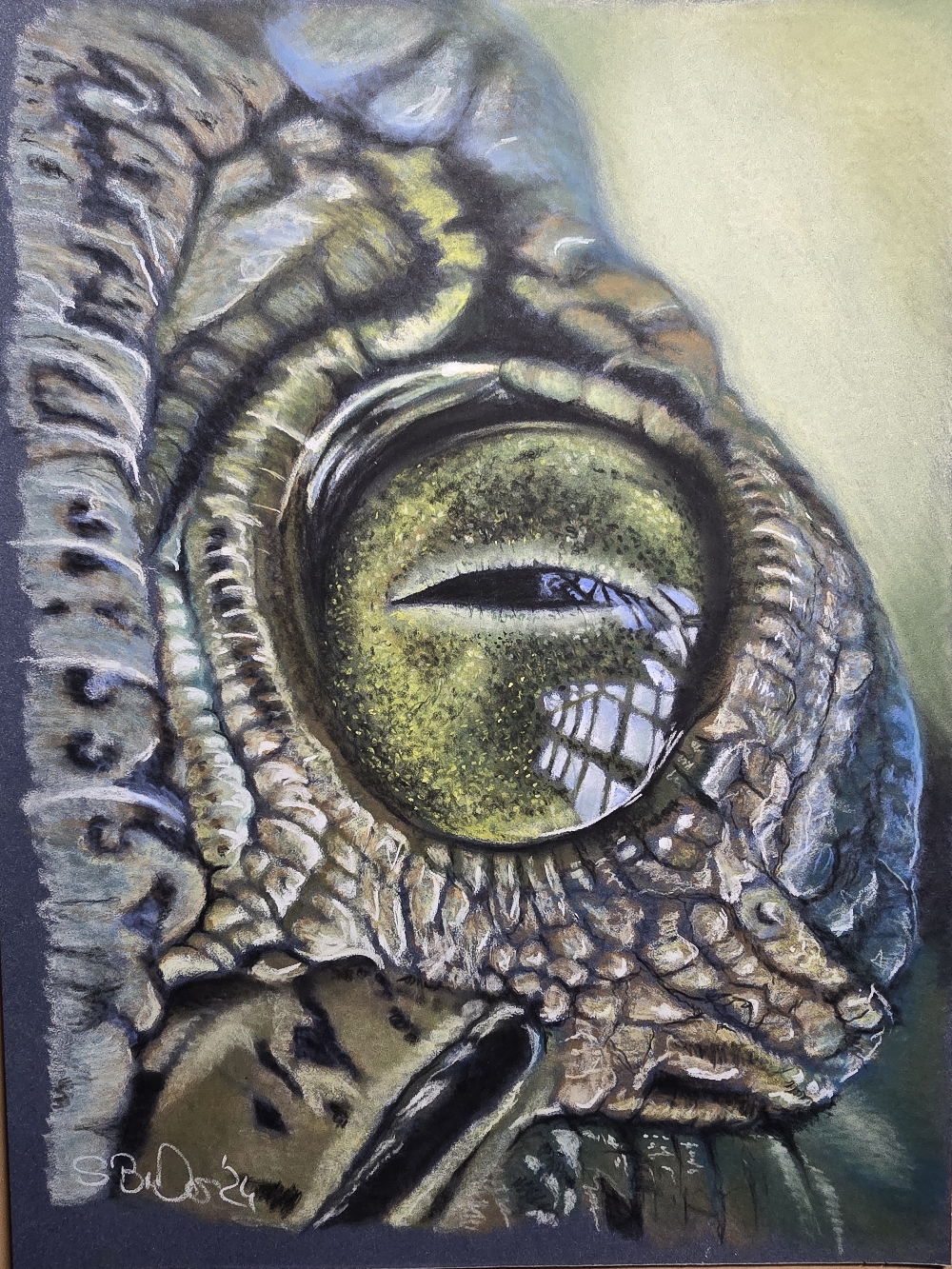 Crocodile