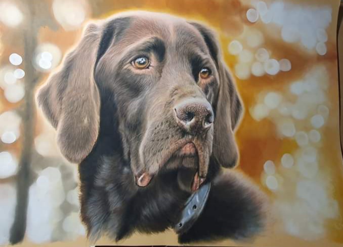 Labrador