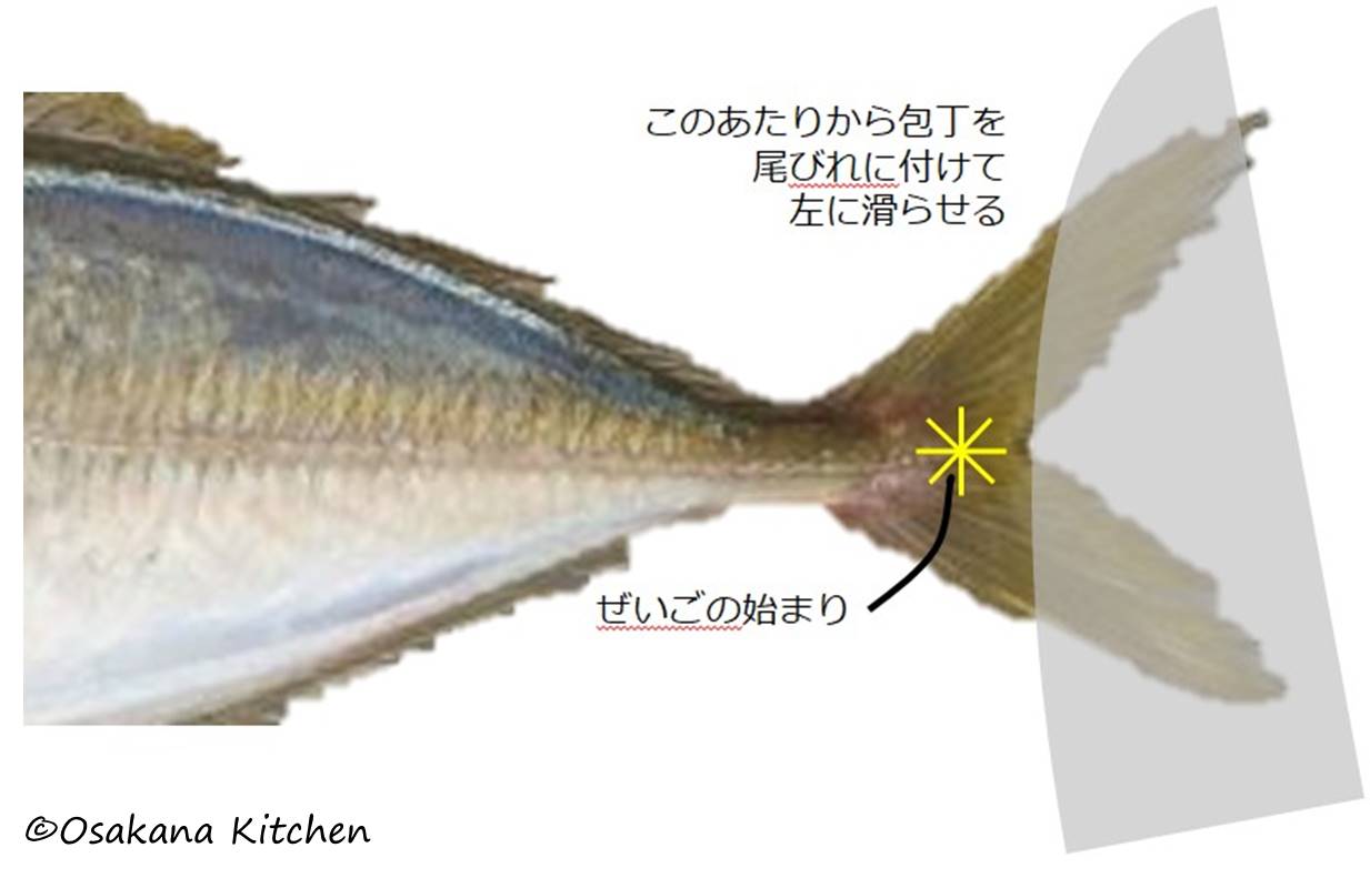 絶対に失敗しない魚のさばき方 魚のさばき方教室 東京