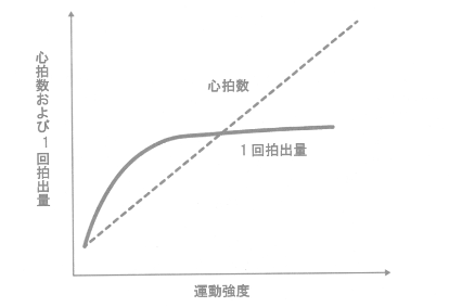 運動強度と心拍数と1回拍出量の関係