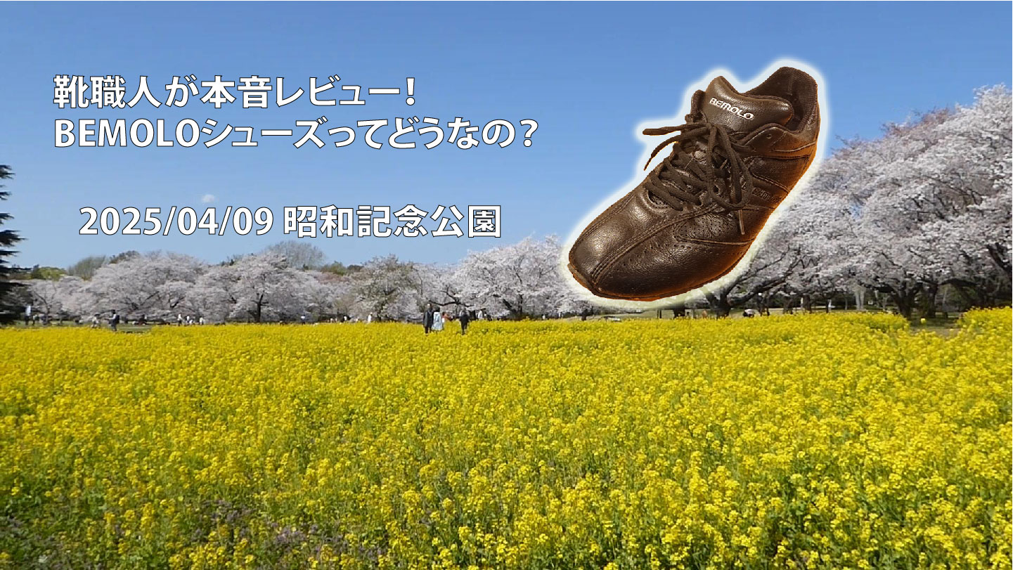 靴職人が本音レビュー！BEMOLOシューズってどうなの？