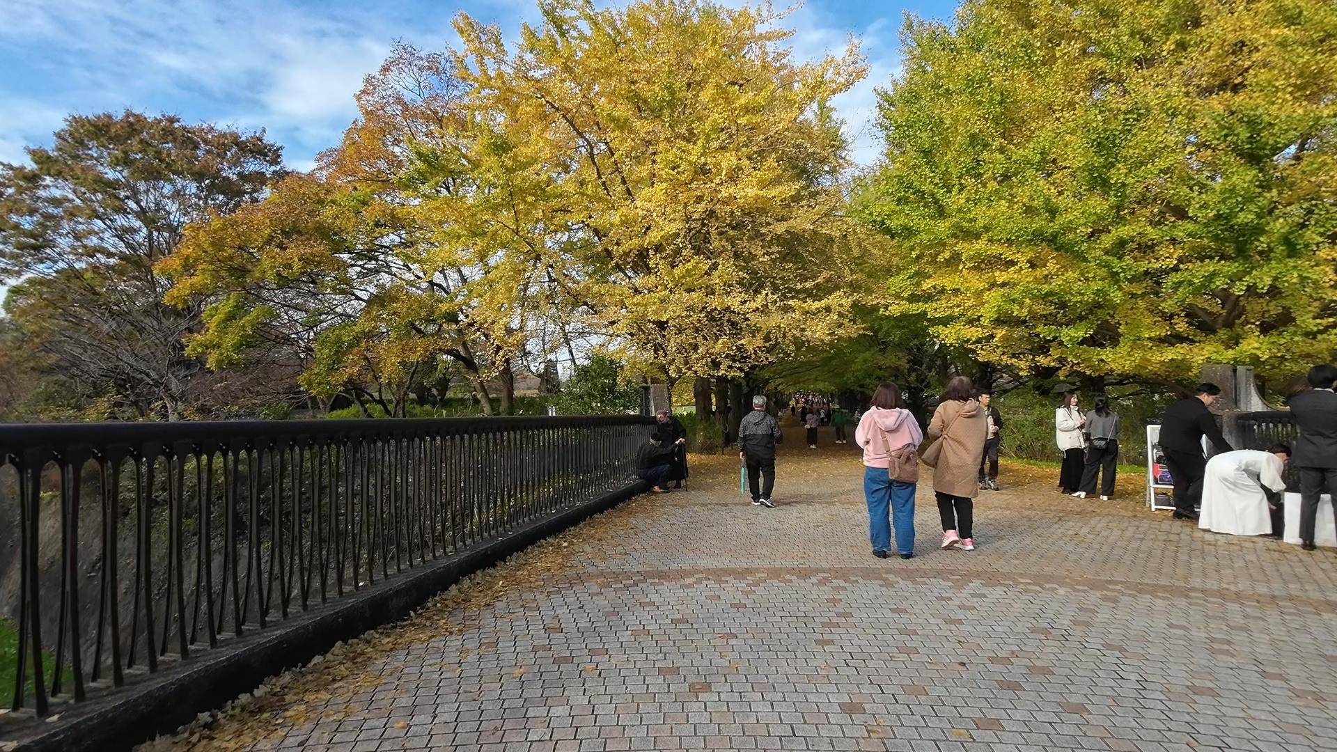 ウォーキング＃16_昭和記念公園