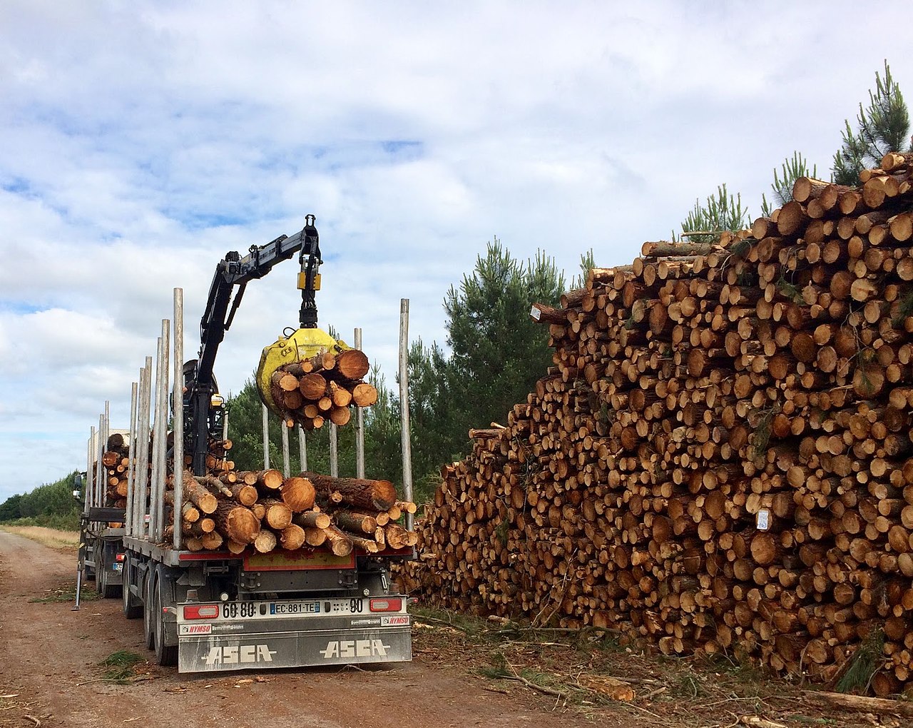 Une piste forestière, créée par la DFCI, utilisée pour l'exploitation de la forêt