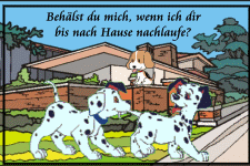 Behälst du mich, wenn ich dir bis nach Hause nachlaufe?