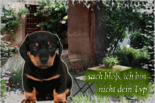 sach bloss, ich bin nicht dein Typ