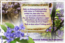 Seht ein Schmetterling als Bote zieht einher in Frühlingstracht, meldet uns, dass alles Tote nun zum Leben auferwacht. Nur die Veilchen schüchtern wagen aufzuschaun zum Sonnenschein; Ist es doch......