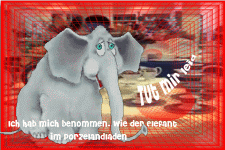Im hab mich benommen, wie der Elefant im Porzelanladen.