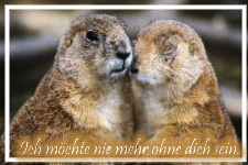 Ich möchte nie mehr ohne dich sein.