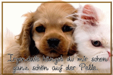 Irgendwie hängst du mir schon ganz schön auf der Pelle.