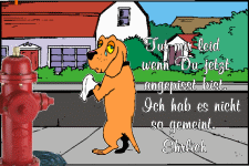 Tut mir leid, wenn du jetzt angepisst bist. Ich habs nicht so gemeint. Ehrlich.