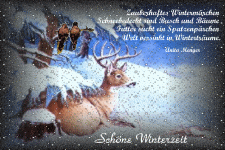 Zauberhaftes Wintermärchen, schneebedeckt sind Busch und Bäume. Futter sucht ein Spatzenpärchen. Welt versinkt in Winterträume.