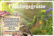So hört doch, was die Lerche singt: Hört wie sie frohe Botschaft bringt.......