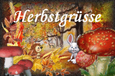 Https Encrypted Tbn0 Gstatic Com Images Q Tbn And9gcrx86q6hj7lpqjmvu2pcql2prk8a5q5rvsoug Usqp Cau