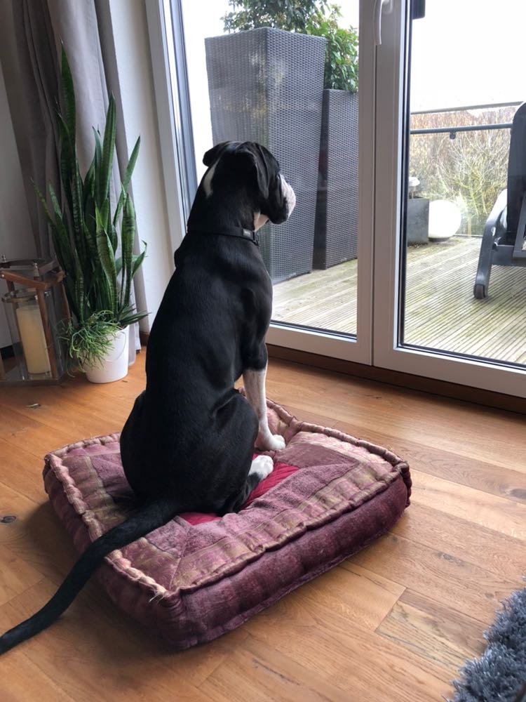 Alles im Blick ... der beste Fensterplatz