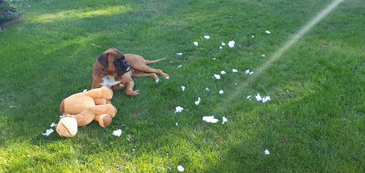 Schnee im Spätsommer ...