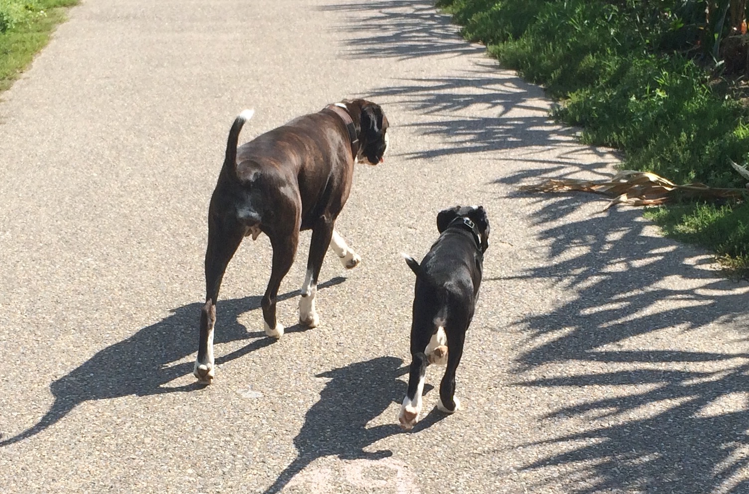 3 1/2 Jahre, mit Tochter Bianca