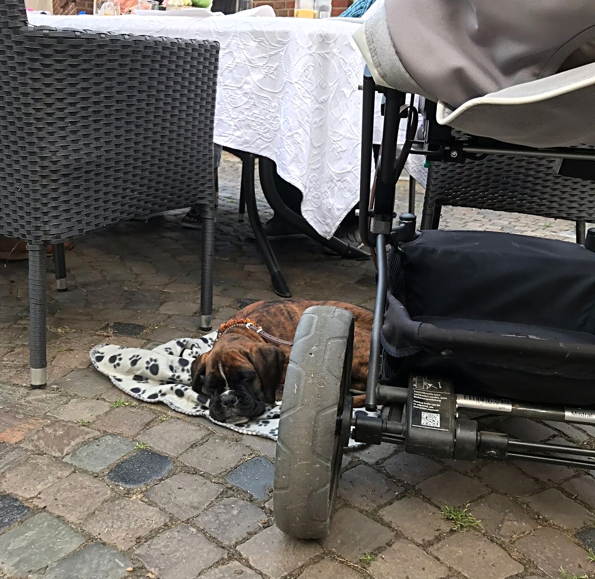 der erste Restaurantbesuch
