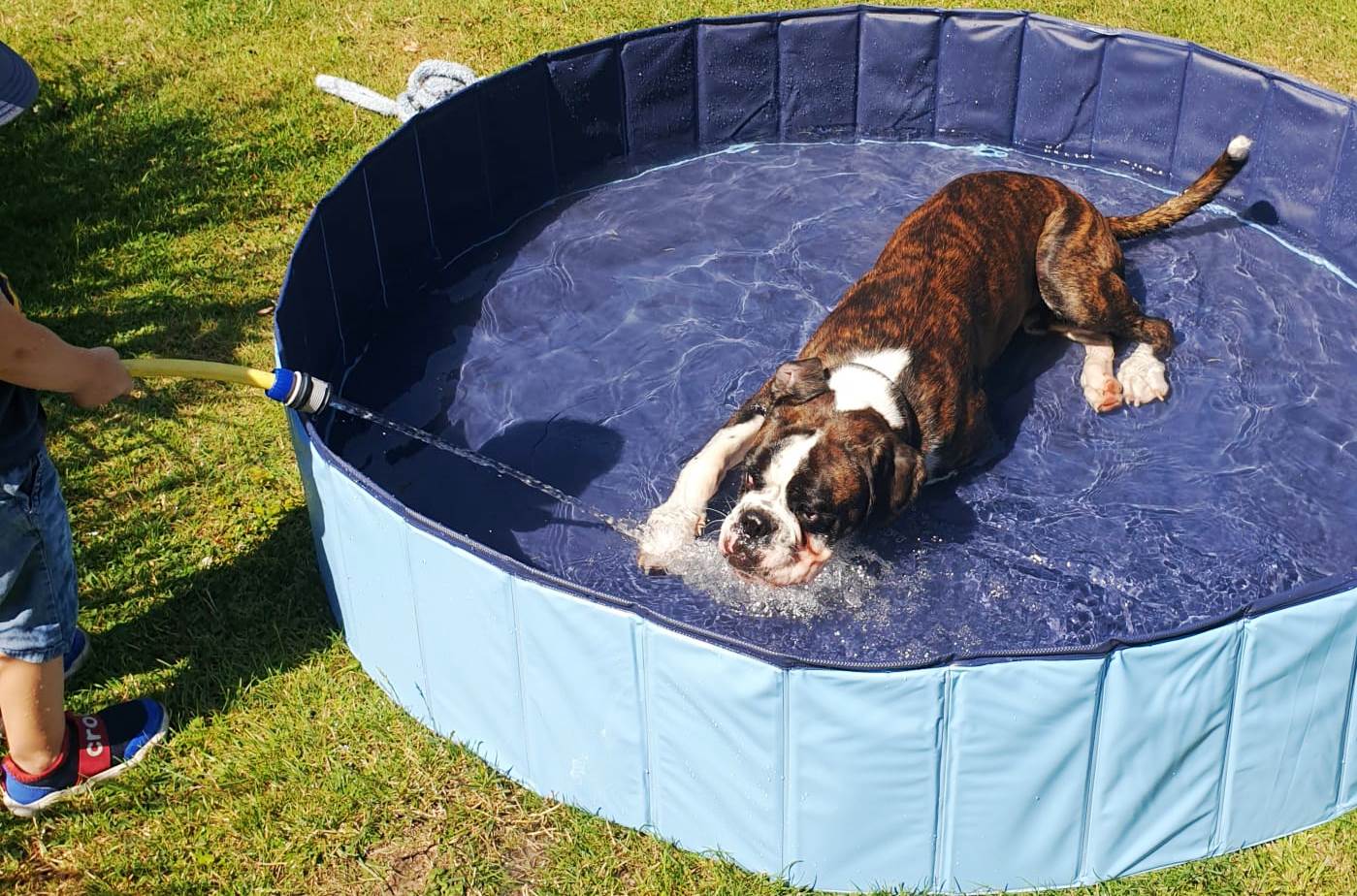Wasser marsch