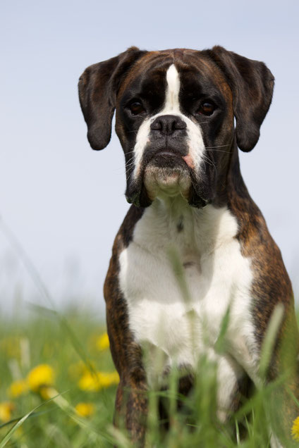 1 1/2 Jahre