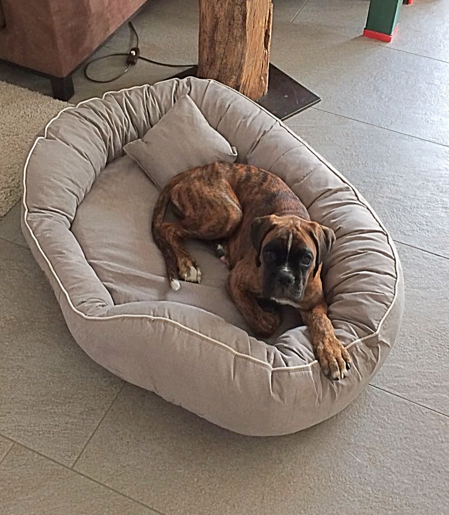 mein neues Bettchen