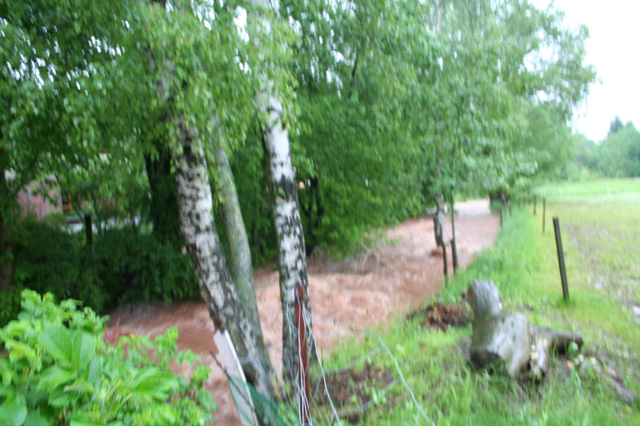 der Bach vor dem Haus führt normal so um die 20 bis 30 cm!!!!! klares Wasser.