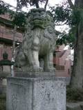 Statur