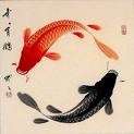 Fische Yin Yang