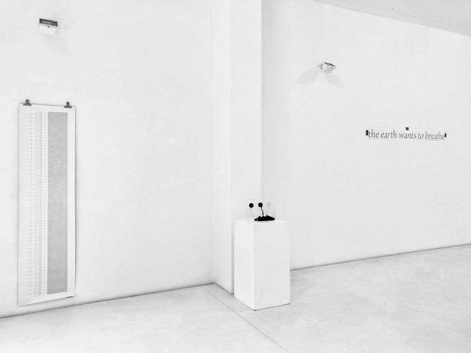 ATTILA KOVACS 1973 / TIMM ULRICHS 2004 / MYRA BROOKLYN 2020