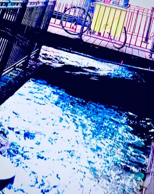 entlang an den Lechkanälen bei der Augsburger Wassertour