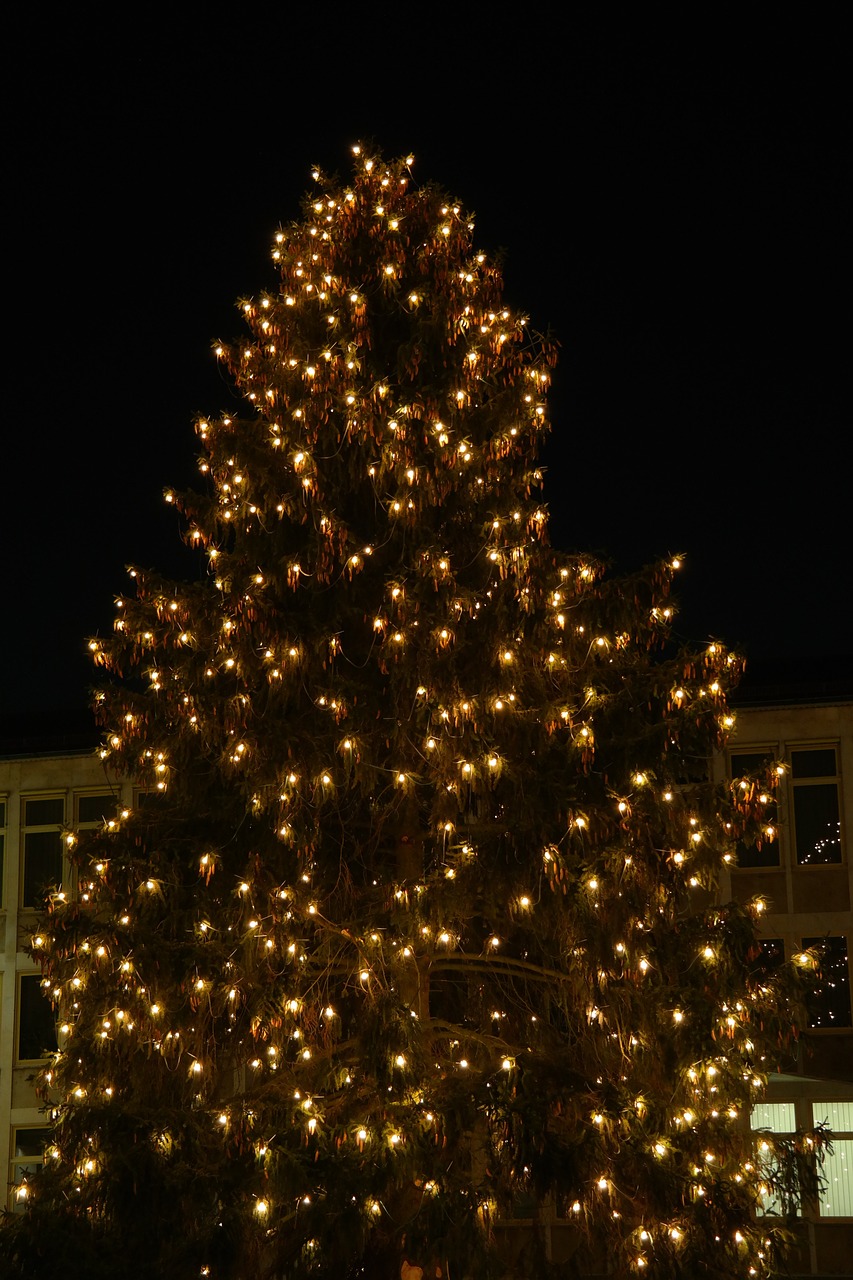 der prachtvolle Christbaum sorgt für Stimmung