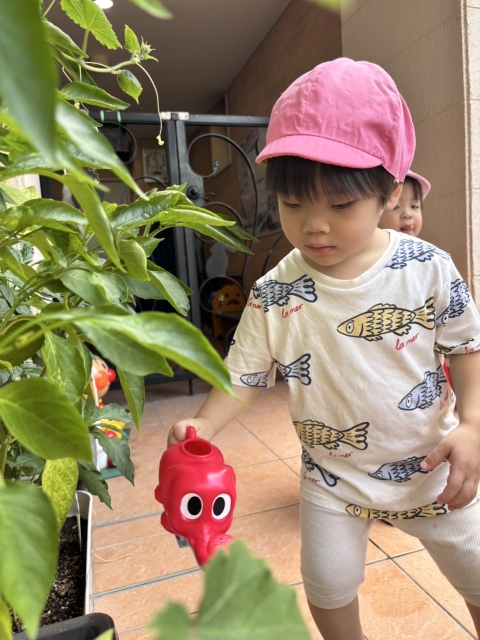 水やりが大人気！