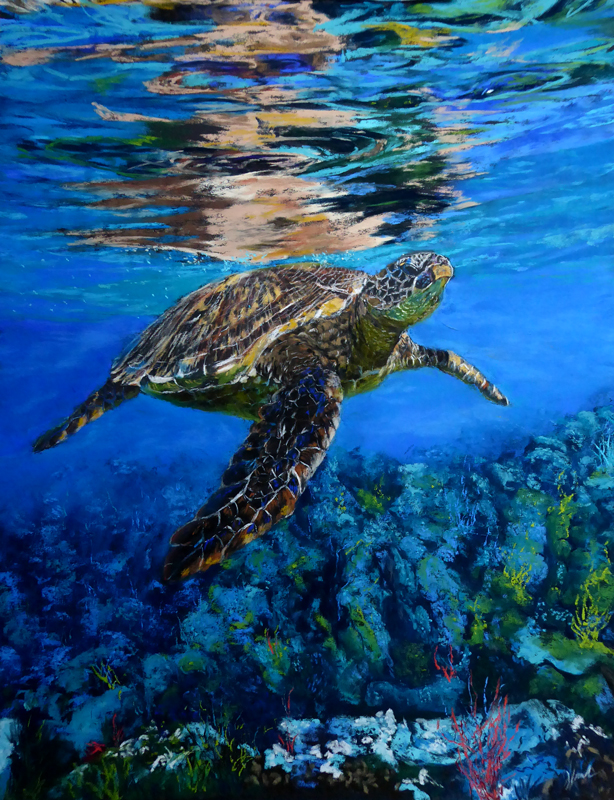 Pastel, Honu, turtle, Meeresschildkröte, Hawaii