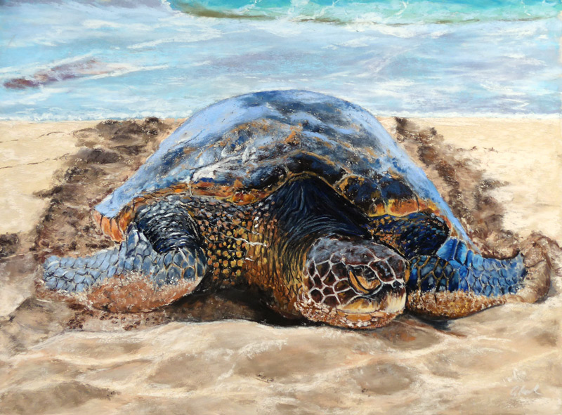 Turtle, honu, pastelpainting