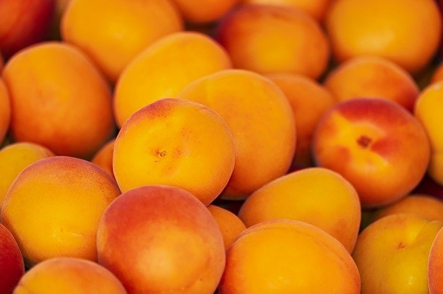 Clafouti abricots miel et thym