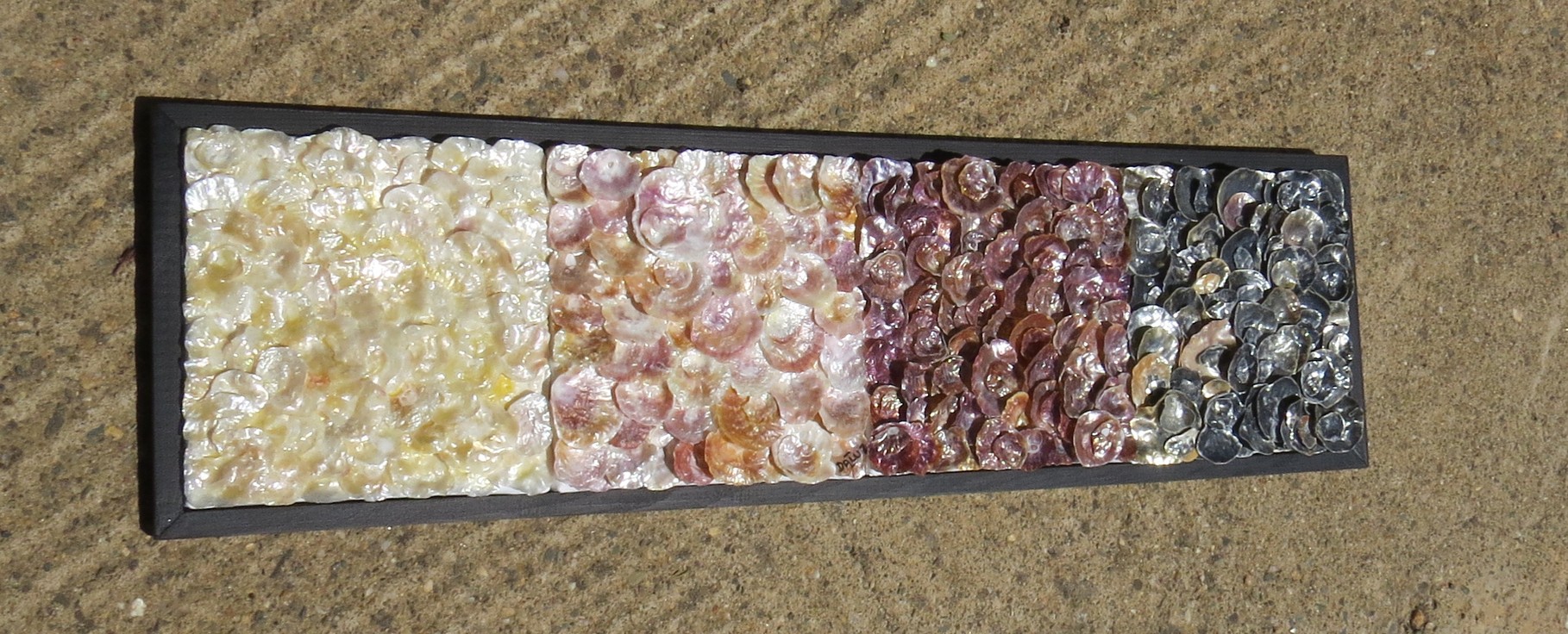 nacre.barre - vue côté4 - tableau coquillage