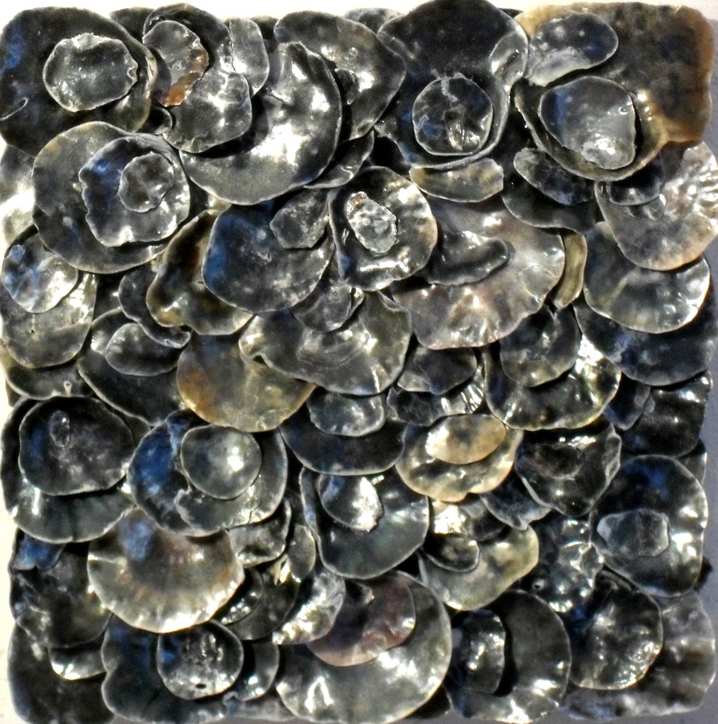 nacre.barre, zoom4 - tableau coquillage