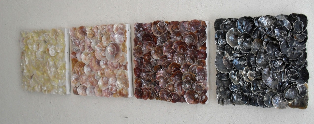 nacre.barre, vue côté1 - tableau coquillage