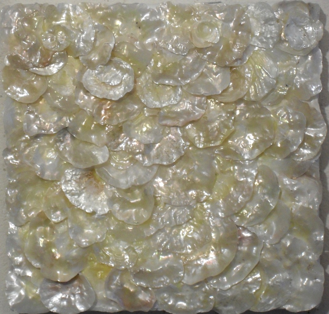 nacre.barre, zoom1 - tableau coquillage
