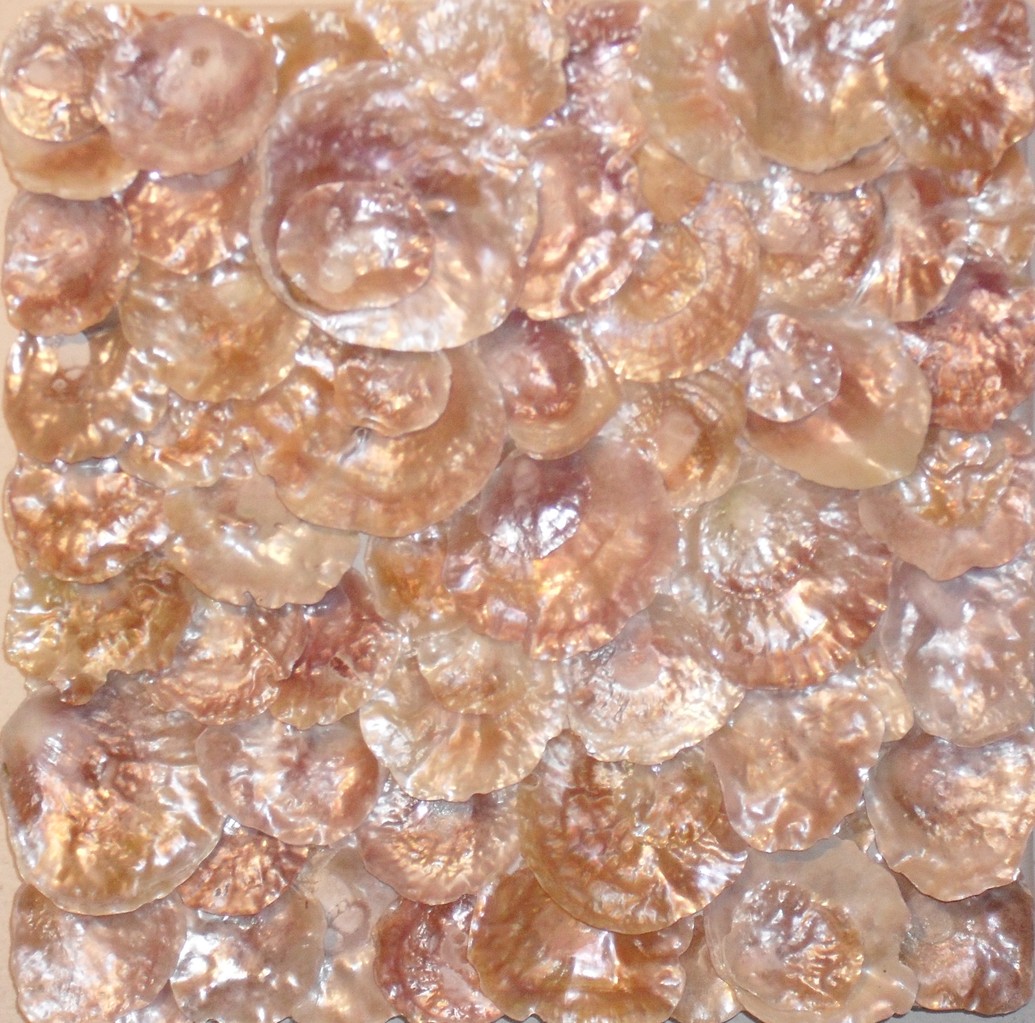 nacre.barre, zoom2 - tableau coquillage