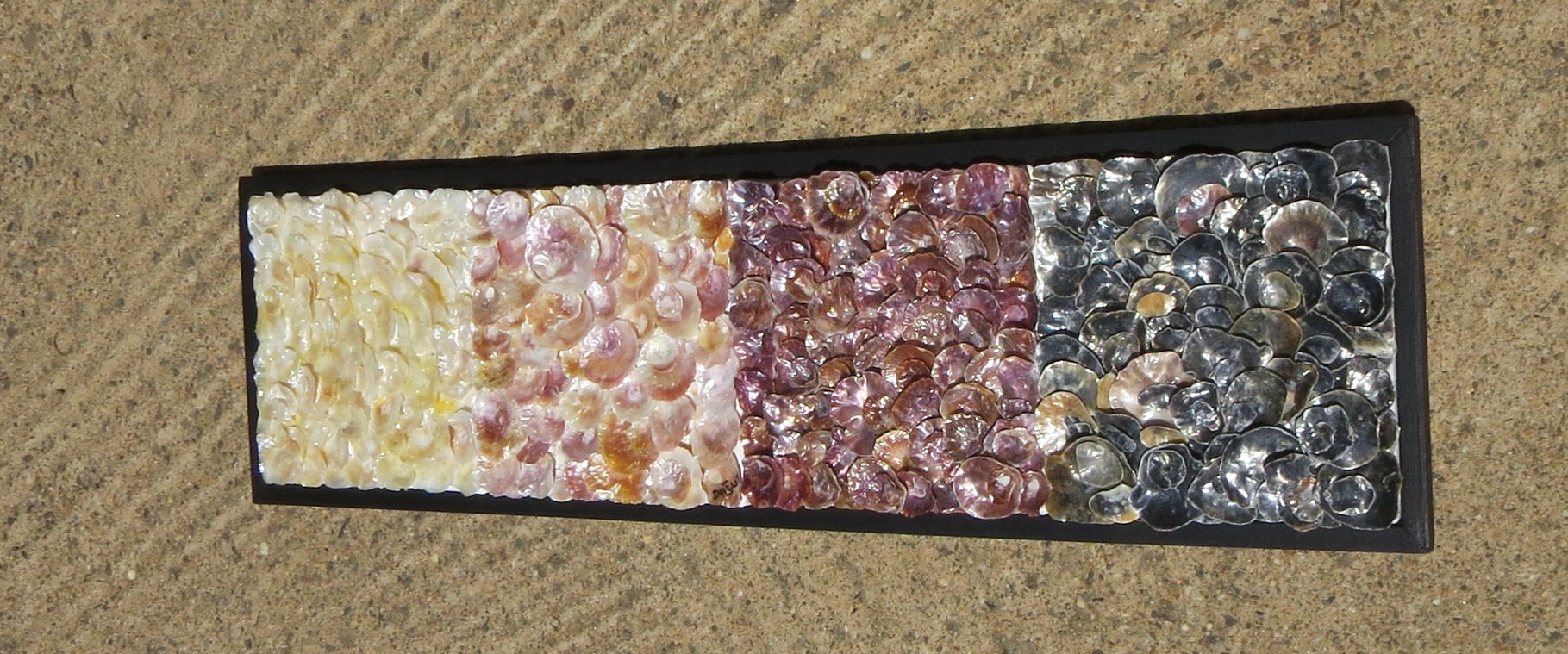 nacre.barre - vue côté3 - tableau coquillage