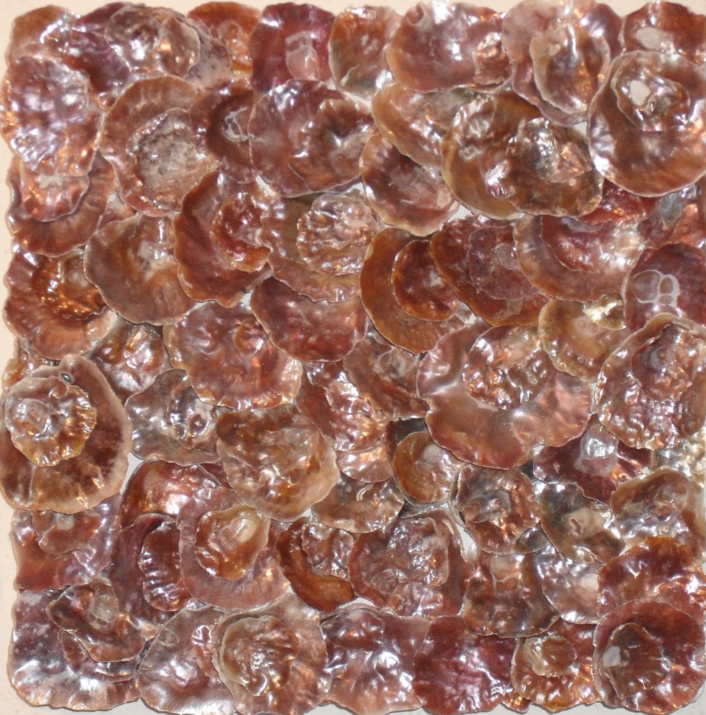 nacre.barre, zoom3 - tableau coquillage