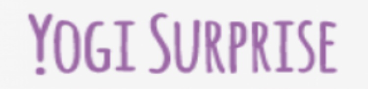 Yogi Surprise Past Boxes Sale