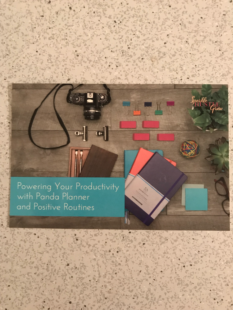 Online training: Power Your Productivity with Panda Planner And Positive Routines