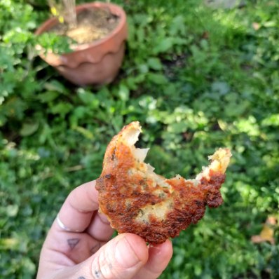 beignet oignon/tanaisie